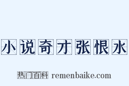 小说奇才张恨水是什么意思的图片